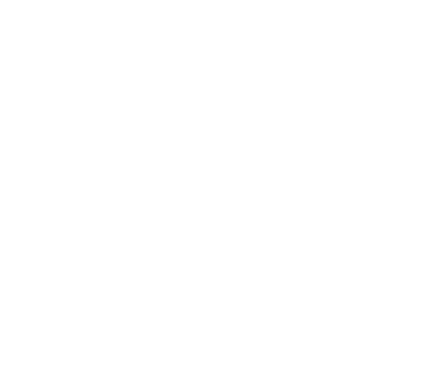 Alu Mast System logo 2025 HVIT
