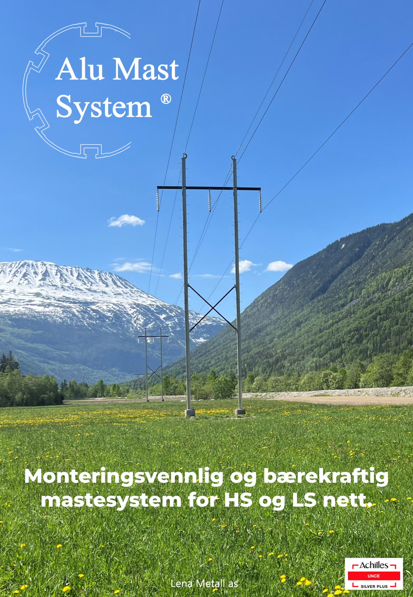 Alu Mast System